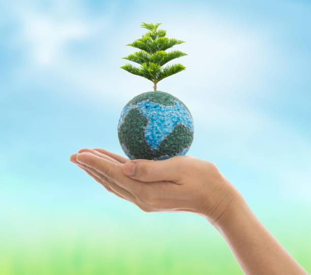 istock Earth in hand isolated on white 1062843752