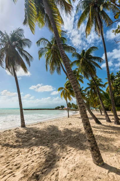 istock the Gosier in Guadeloupe 1062845832