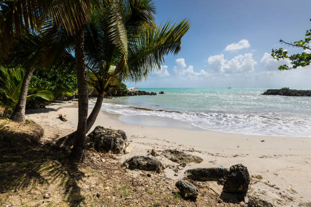 istock the Gosier in Guadeloupe 1062845950