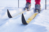 Skis on track in the fresh, white snow in winter day. Classic cross country skiing. Active lifestyle. Enjoying sport. Closeup.