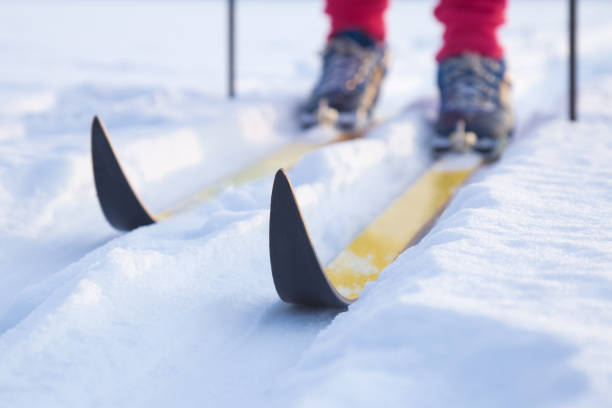 Skis on track in the fresh, white snow in winter day. Classic cross country skiing. Active lifestyle. Enjoying sport. Closeup. stock photo
