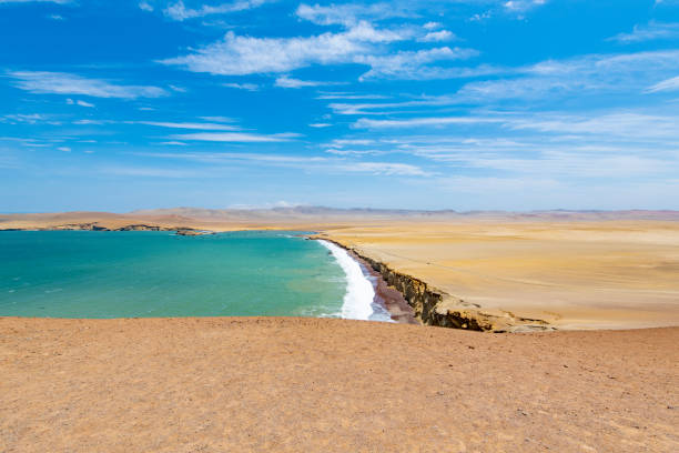 istock Paracas National Reserve 1062847132