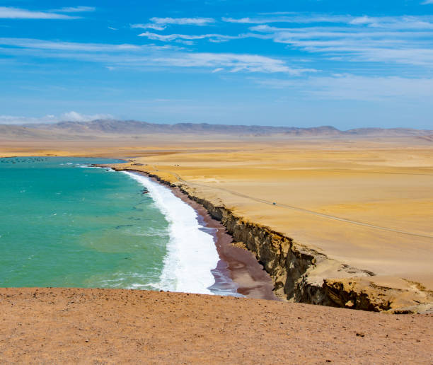 istock Paracas National Reserve 1062847142