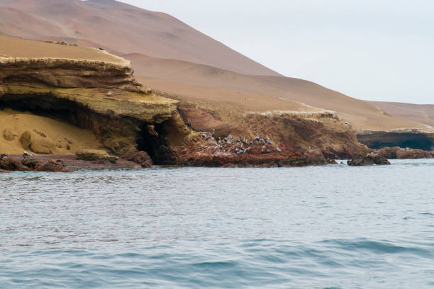 istock Crossbows Islands, Paracas, Peru 1062847190