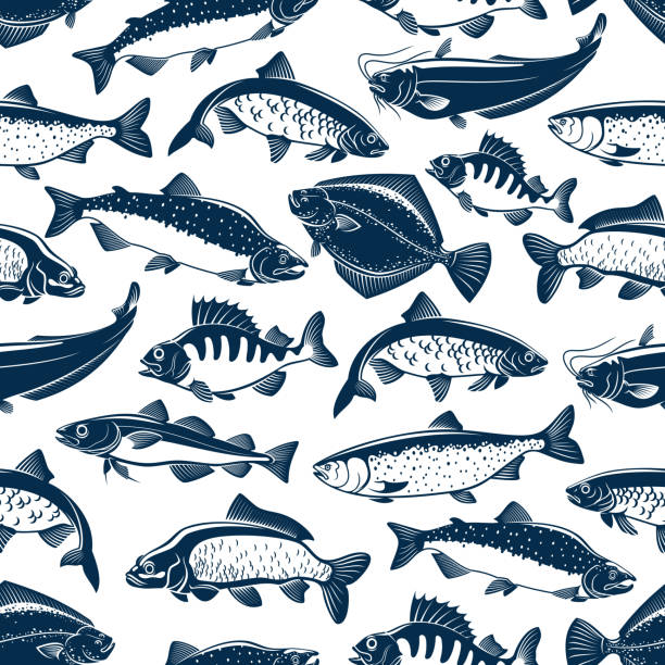 illustrazioni stock, clip art, cartoni animati e icone di tendenza di pesci marini e oceanici sfondo modello senza soluzione di continuità - catch of fish fish tuna sea bream