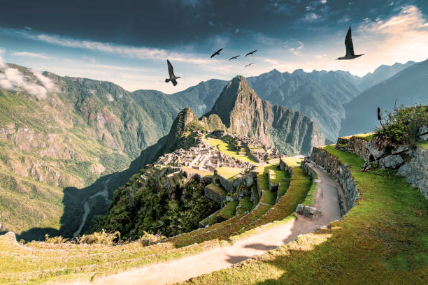 machu picchu - sacred site stock-fotos und bilder