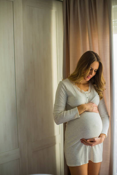 istock Young pregnant woman by the window 1062863330