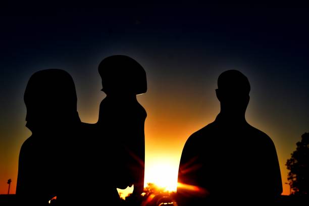 istock Family silhouette at sunset 1062873408