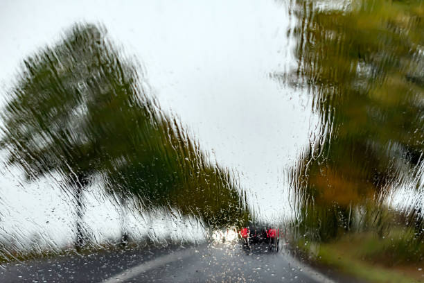 istock Country road in autumn and rain 1062878794