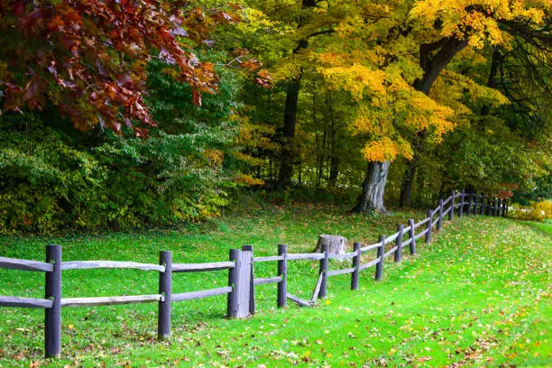 Colorful fall landscape in bright tones, fall trees in town