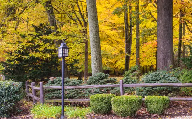 Colorful fall landscape in bright tones, fall trees in town