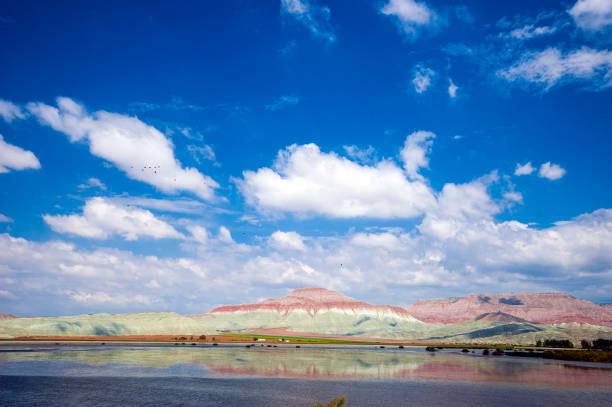 istock Nallihan Bird Sanctuary, Ankara 1062894960