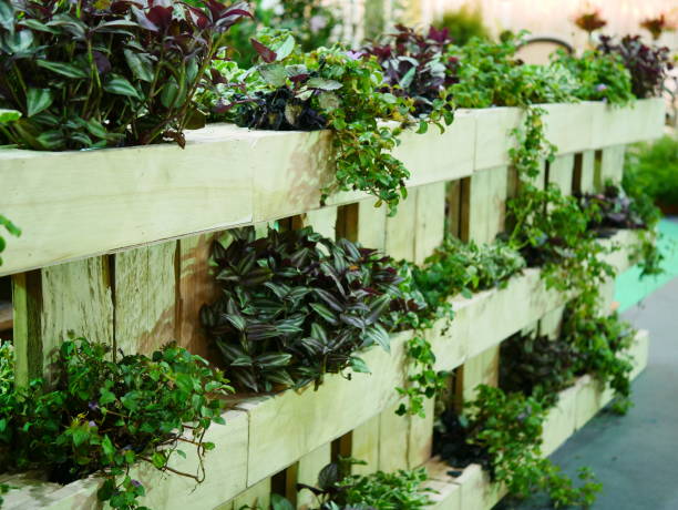 Vertical green garden
