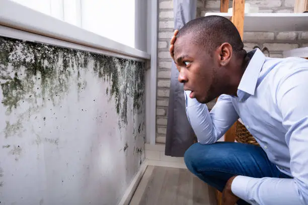 Side View Of A Shocked Young African Man Looking At Mold On Wall
