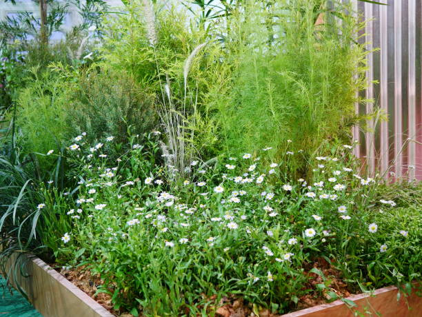 istock Tropical green house indoor 1062907402