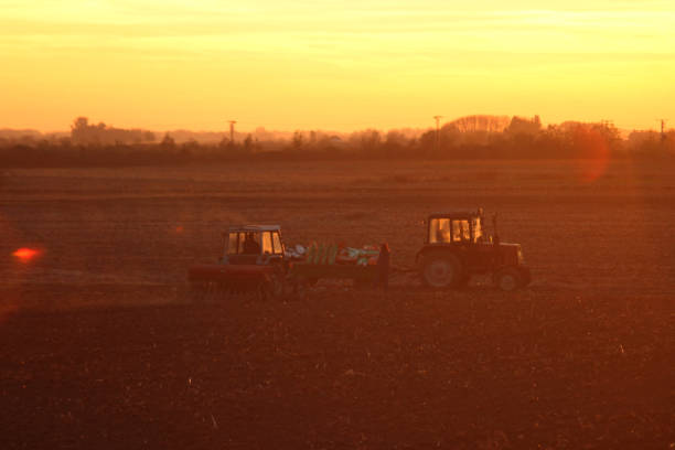 istock Sunset Autumn Agricultural Fields seeding 1062907490