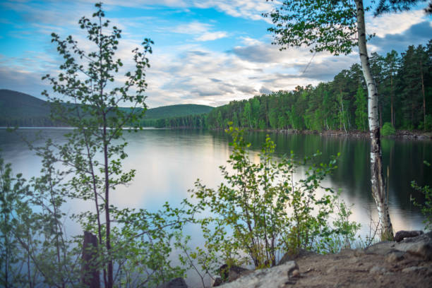 Big lake landscape view in the summer stock photo