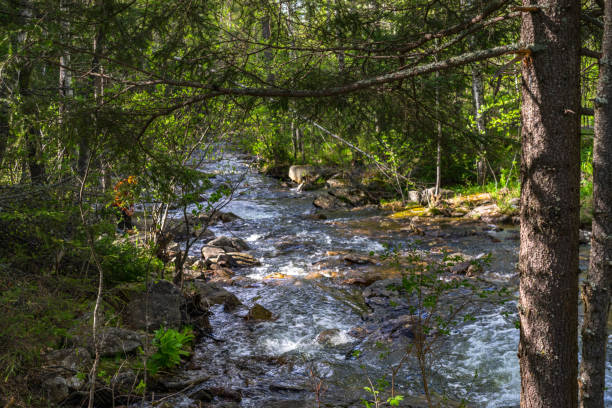 Mountain stream in rocks in Ural mountains stock photo