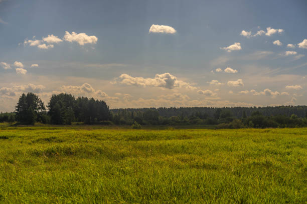 istock Tranquility sunny landscape in the russian field 1062911930