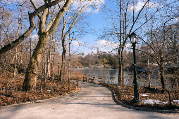 central park al mattino a new york city, new york, usa - autumn park central park lake foto e immagini stock