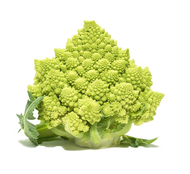 istock Roman Cauliflower isolated on white background 1062916348
