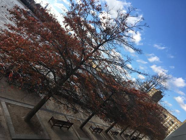 istock Autumn in London, England 1062921214