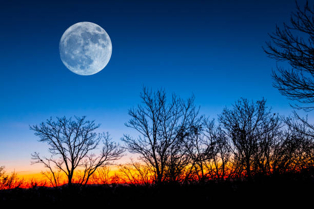 istock full moon above a forest at the twilight 1062924388