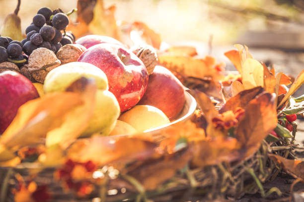 Autumn organic fruits background