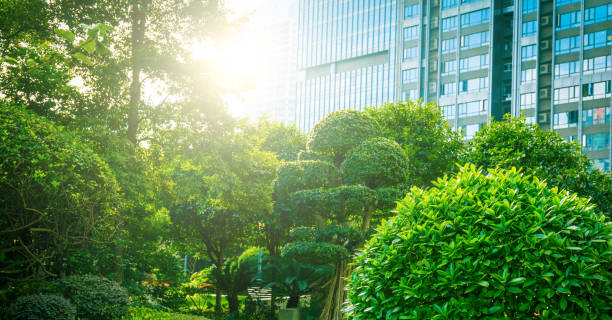 istock Office buildings with green city park trees 1062927276
