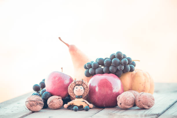 istock Autumn organic fruits background 1062929358