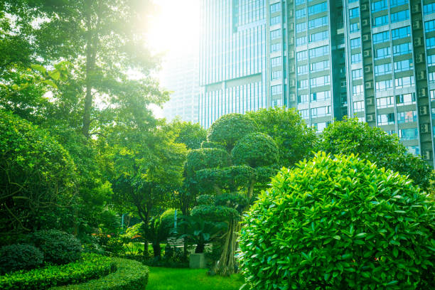 istock Office buildings with green city park trees 1062929752