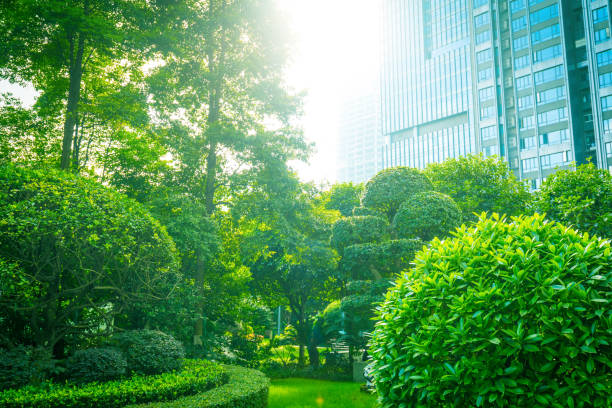 istock Office buildings with green city park trees 1062929830