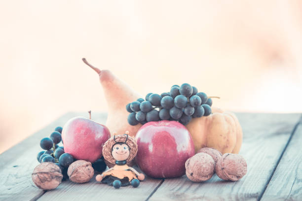 istock Autumn organic fruits background 1062929968