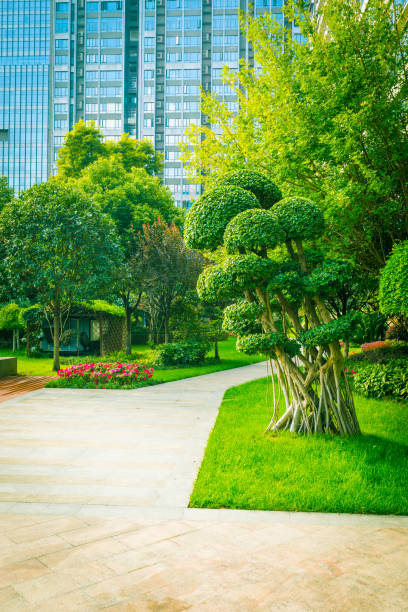istock City Office with Public Park 1062929980