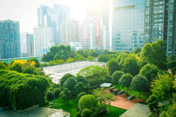trees between office buildings - new city imagens e fotografias de stock