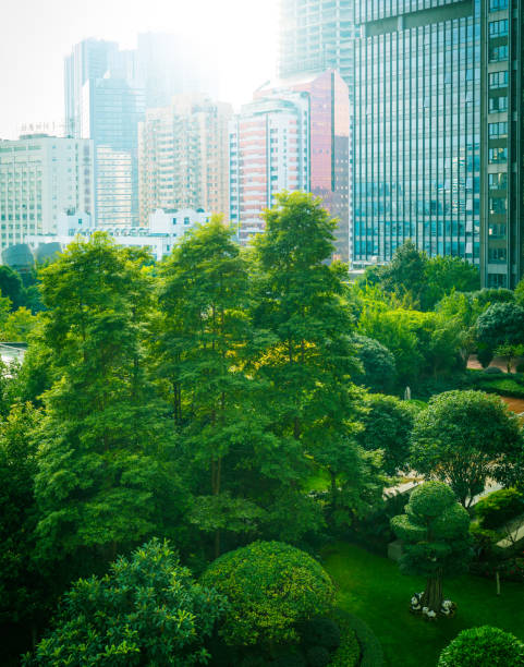 istock Office buildings with green city park trees 1062931346