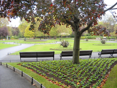 Park in the centre of Dublin