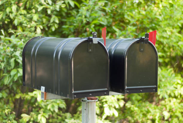 istock Black mailbox on a background of green plants 1062935178