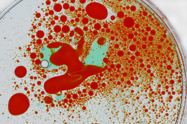 Red colourful spots in liquid in a petri dish