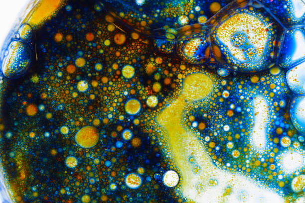 istock Petri dish with colourful pigments and liquid. 1062935324