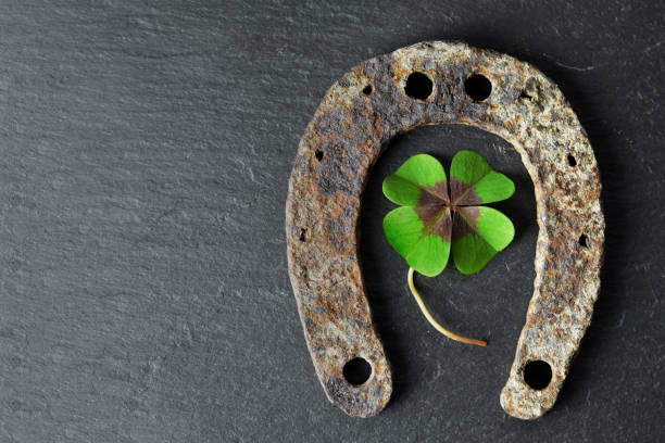 istock Horseshoe and shamrock on black background 1062937366