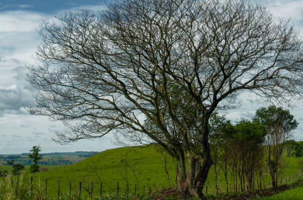 istock farm landscapes 1062939470