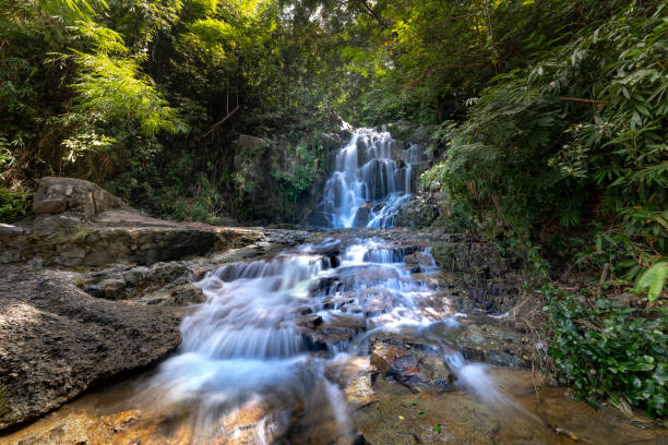 istock See a small waterfall in the tropical jungle in Vietnam 1062941480