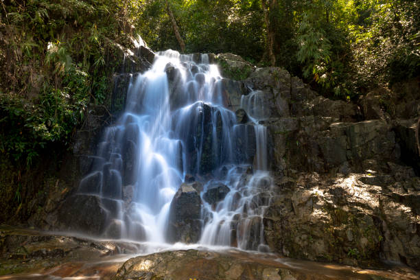 istock See a small waterfall in the tropical jungle in Vietnam 1062941500