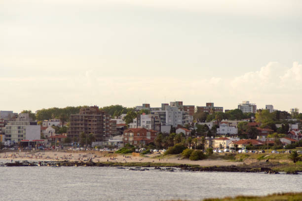 pejzaż miejski w montevideo, urugwaj. - montevideo uruguay town square travel zdjęcia i obrazy z banku zdjęć