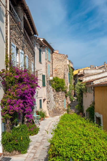 istock Alley in Grimaud-Village 1062948386