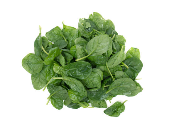 istock pile of fresh spinach, isolated on a white background 1062950626