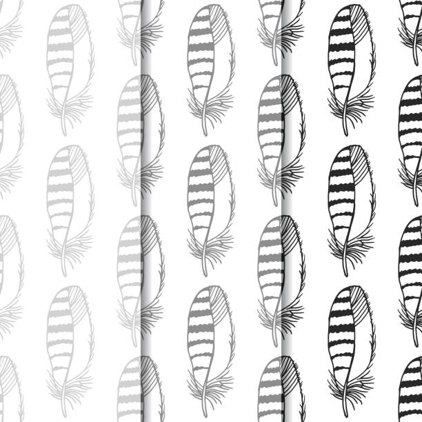 Mockingbird Feather Pattern 140+ Mockingjay Bird Stock Photos, Pictures & Royalty-Free Images - iStock