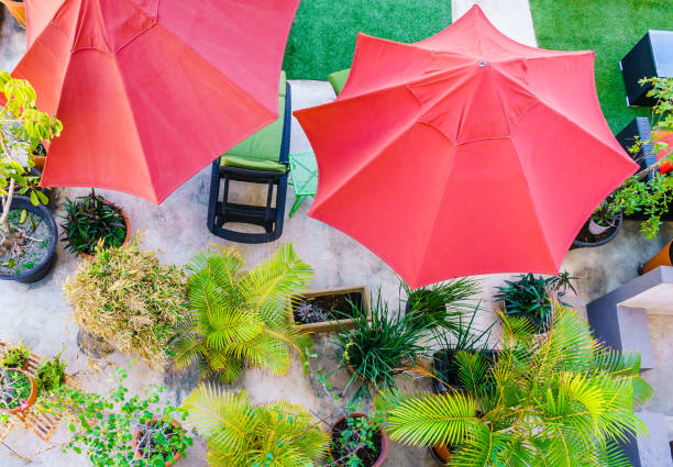 istock Modern terrace with potted tropical plants 1062957870