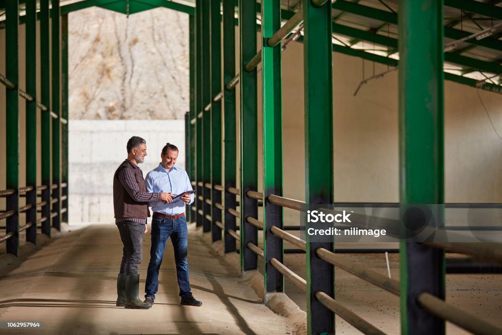 Farmer and Bank Manager Farmer and white collar worker meeting in farm. Farmer Stock Photo